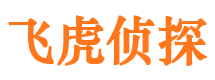 莱城外遇调查取证